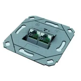 DNTZ Datenanschlussdose designfähig fixLink 45Grad 2fach mit Zentralplatte CKVD1D1
