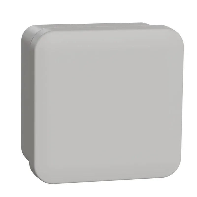 Schneider Electric Abzweigdose