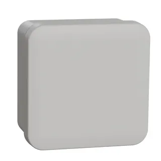 Schneider Electric Abzweigdose