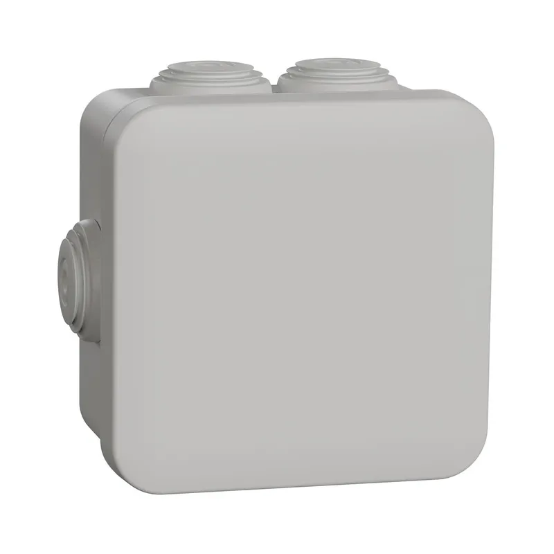 Schneider Electric Abzweigdose