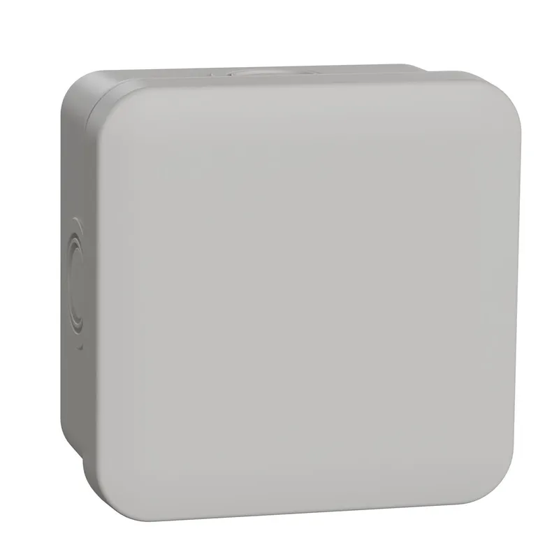 Schneider Electric Abzweigdose