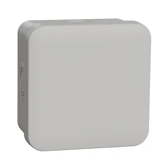 Schneider Electric Abzweigdose