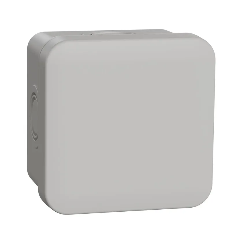 Schneider Electric Abzweigdose