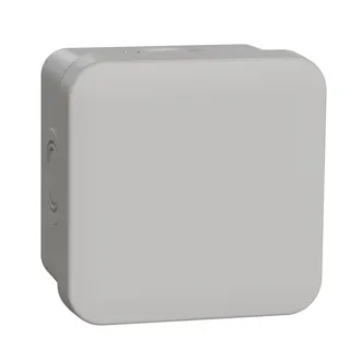 Schneider Electric Abzweigdose