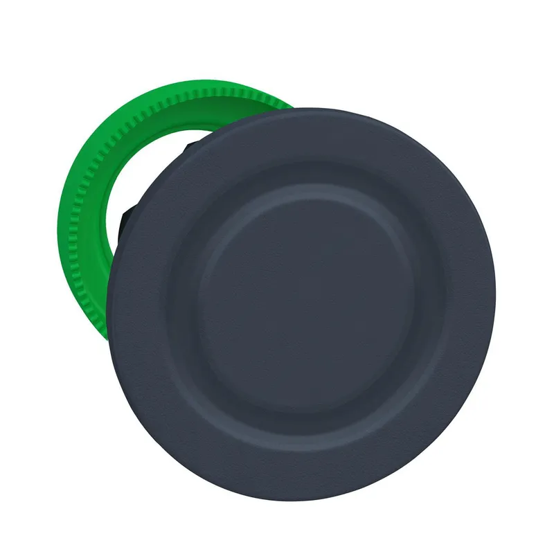 Schneider Electric Blindstopfen