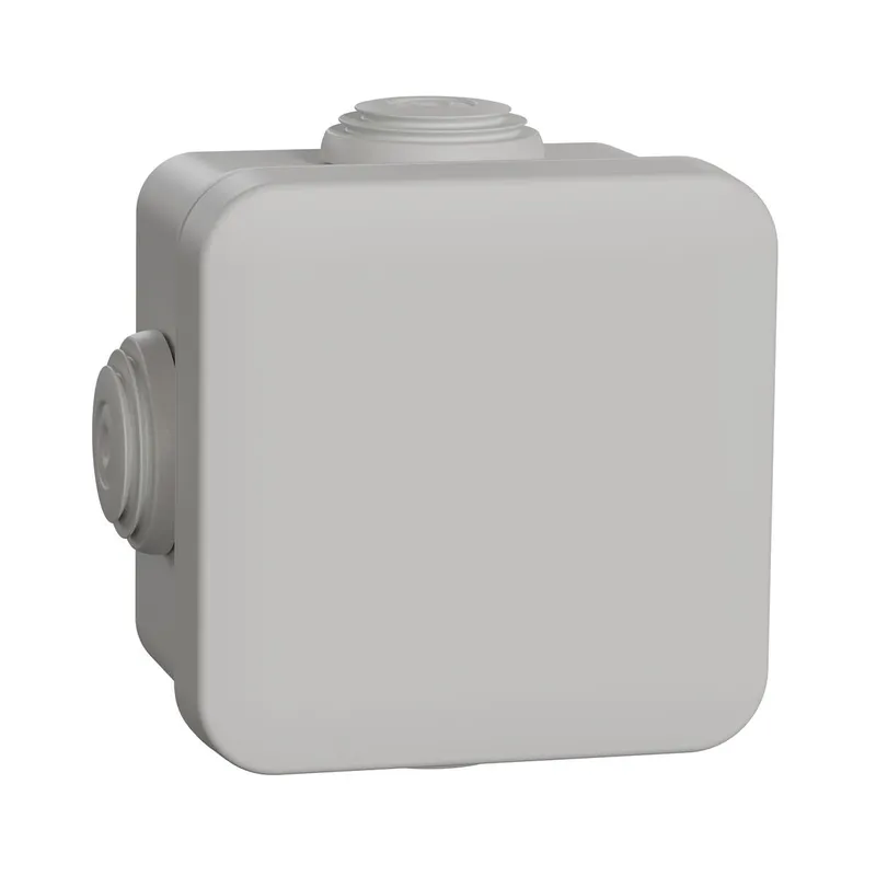 Schneider Electric Abzweigdose