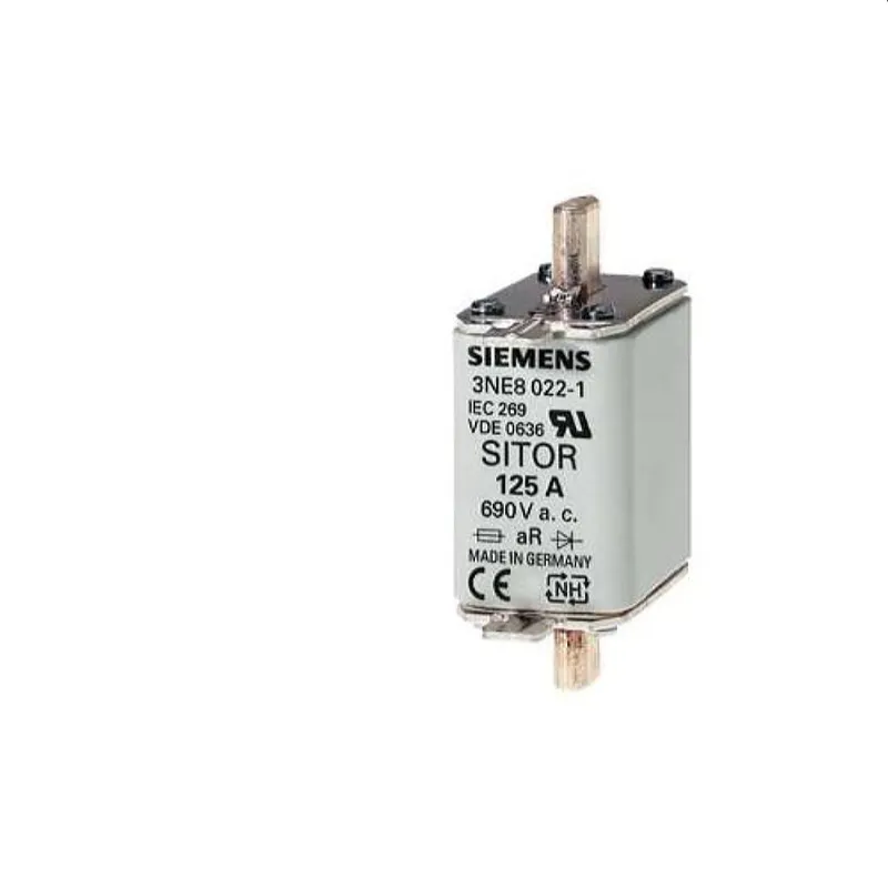 Siemens Sicherung 100A AC690V Gr. 00 3NE1021-2