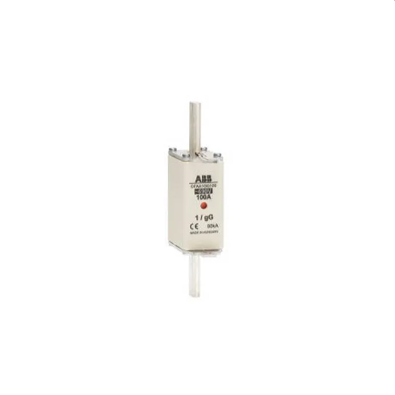 ABB Stotz-Kontakt NH-Sicherung OFAA1GG100 NH 1SCA022700R9950