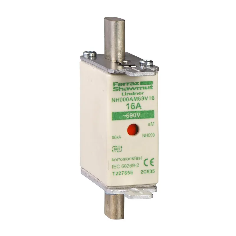 Schneider Electric Sicherung