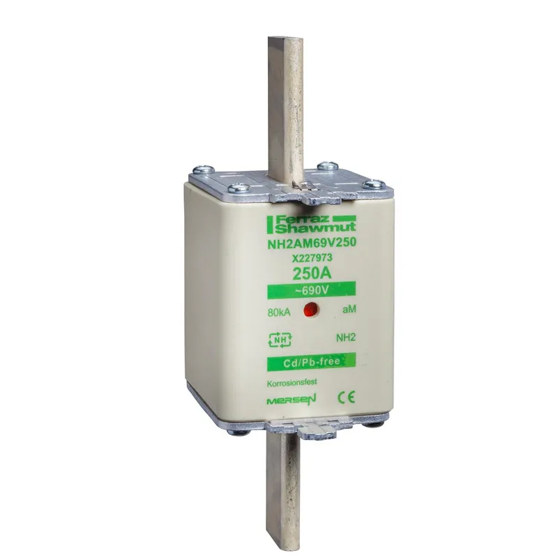 Schneider Electric Sicherung