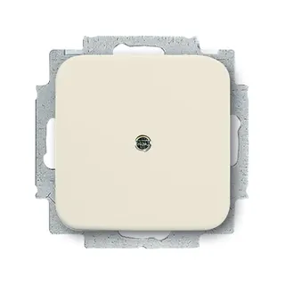 Busch-Jaeger 2538-212 SI cremeweiss Blindabdeckung