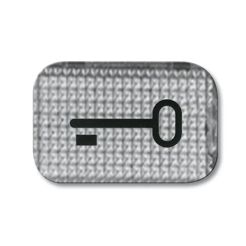 Busch-Jaeger 2145 TR Tuer Symbol