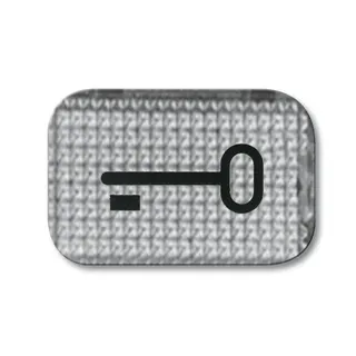 Busch-Jaeger 2145 TR Tuer Symbol