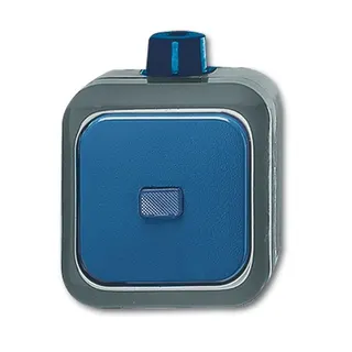 Busch-Jaeger 2601/6 WDI Wechselschalter
