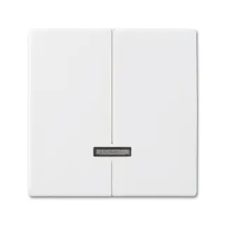 Busch-Jaeger 6545-914 Dimmereinsatz 2fach Bedienelement