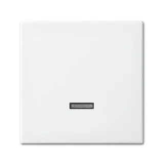 Busch-Jaeger 6543-914-102 E-Einsatz Bedienelement