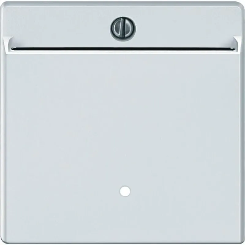 Merten Cardschalter 315419 polarweiss System M