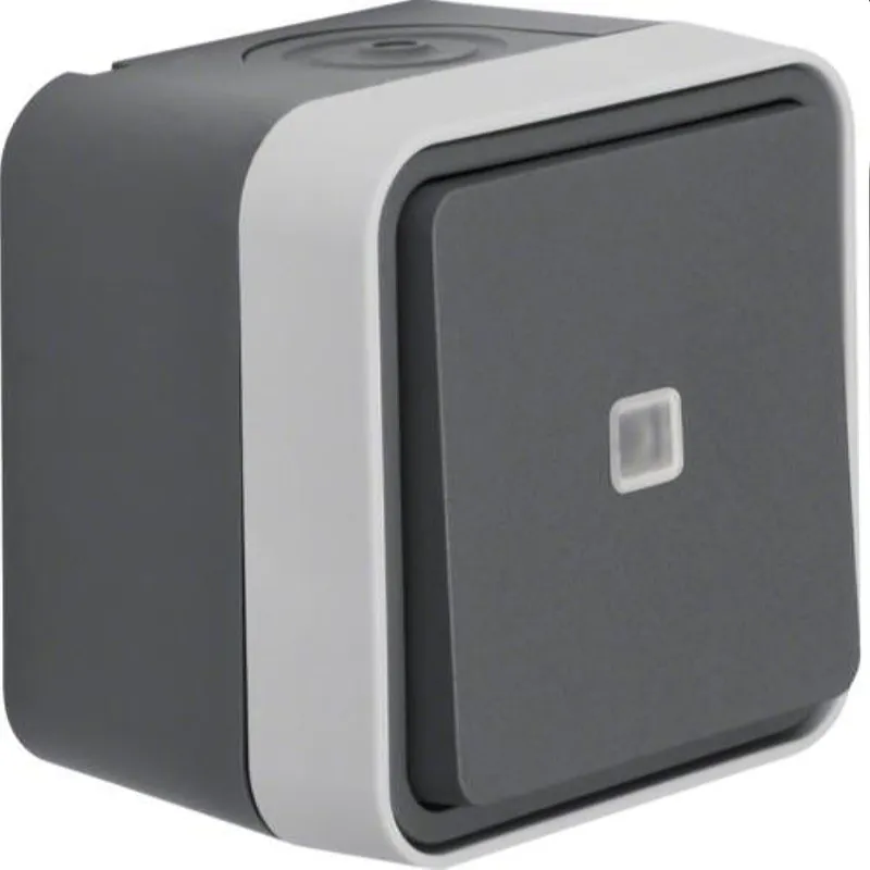 Berker Taster M350763505 lichtgrau