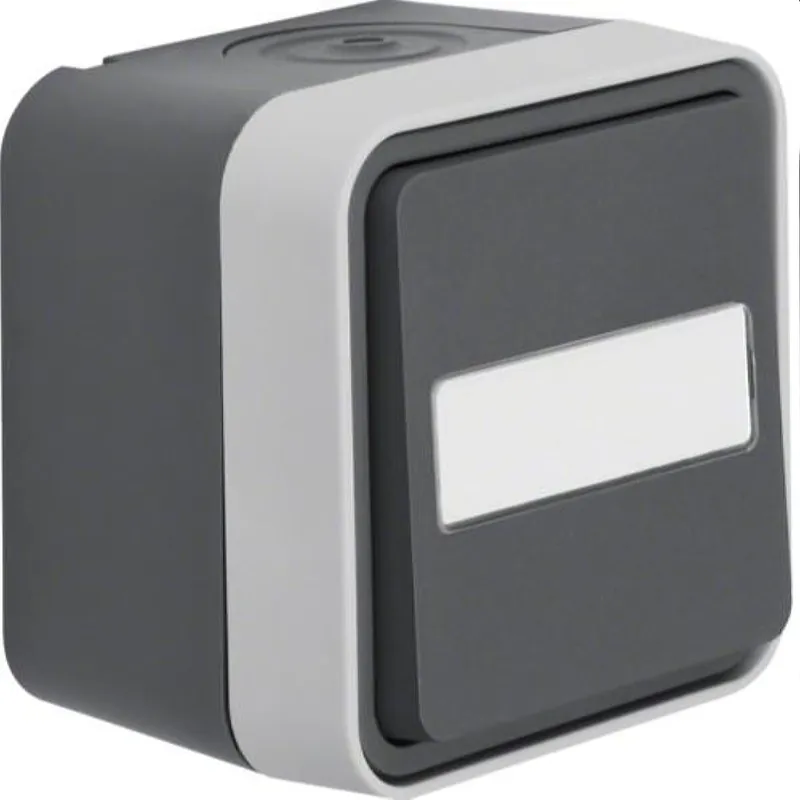 Berker Taster M350763555 lichtgrau