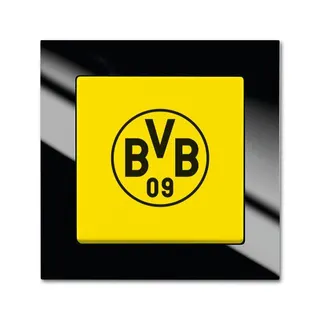 Busch-Jaeger 2000/6 UJ/01 BVB Schalter