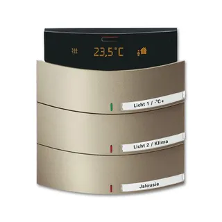 Busch-Jaeger Raumtemperaturregler Raumtemperaturregler 6321/38-260 triton 3/6fach MF/IR