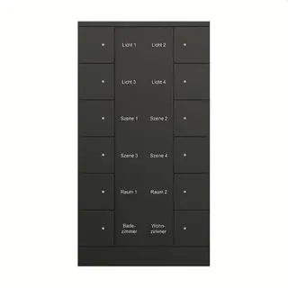 Busch-Jaeger Bedienelement SB/U12.0.11-885 12fach, schwarz matt