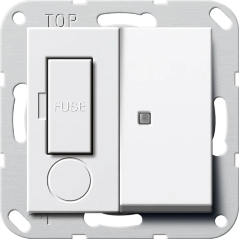Gira Fused outlet 278703 13A Kontr. schalt. System55 rw 278703