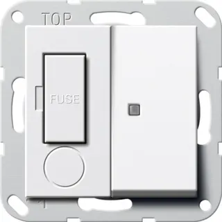 Gira Fused outlet 278703 13A Kontr. schalt. System55 rw 278703