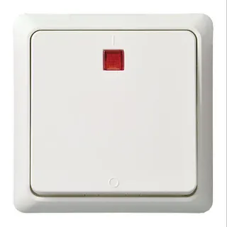 ELSO UP-Kontrollausschalter 251214 2p. bel. 16A RENOVIERUNG rw