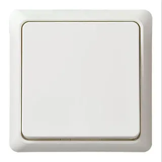 ELSO UP-Kreuzschalter 241704 10A RENOVIERUNG komplett rw