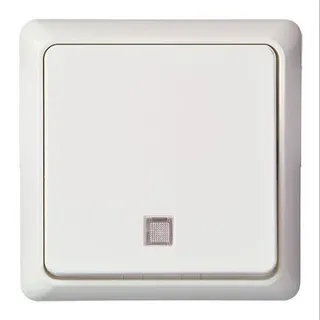 ELSO UP-Taster 242134 beleuchtet 10A RENOVIERUNG rw