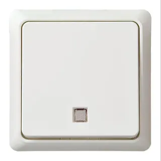 ELSO UP-Wechselkontrollschalter 241624 10A RENOVIERUNG komplett rw