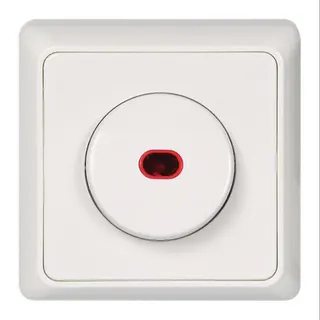 ELSO Wipptaster 516224 42V/1A bel. 12V RENOVIERUNG rw