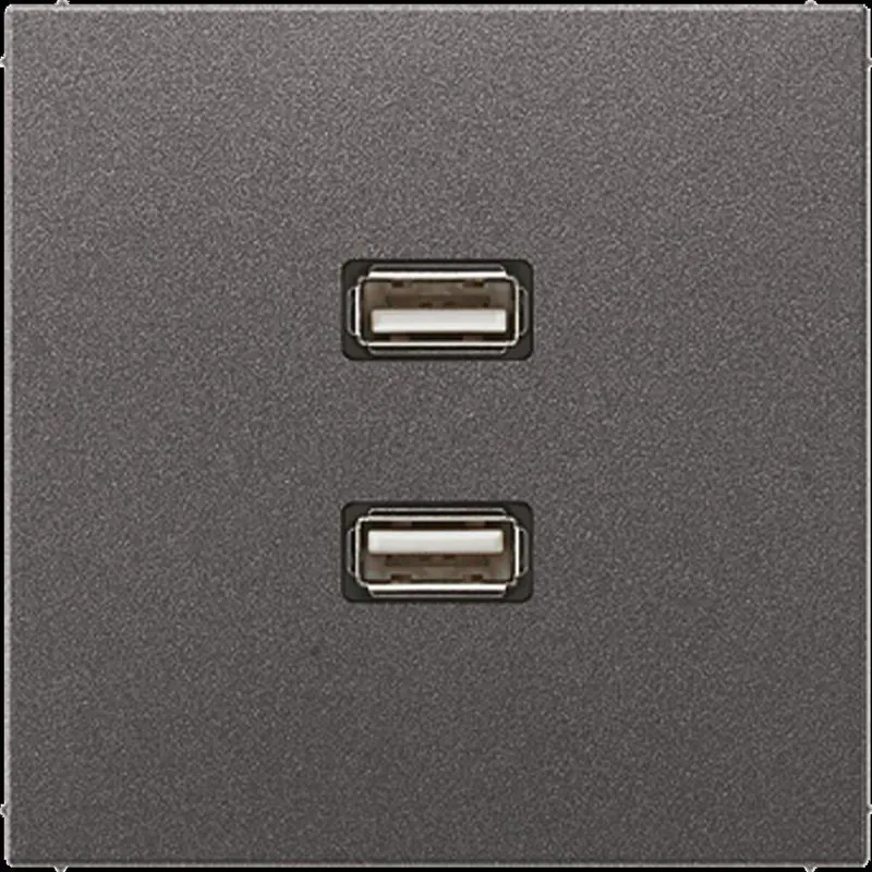Jung Multimedia-Anschlusssystem 2 x USB 2.0, Serie LS, anthrazit (lackiertes Aluminium) MAAL1153AN