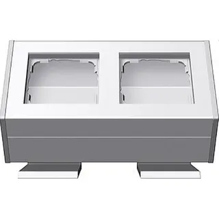 Gira Profil 119227 2fach + Befestig.winkel 55 rw