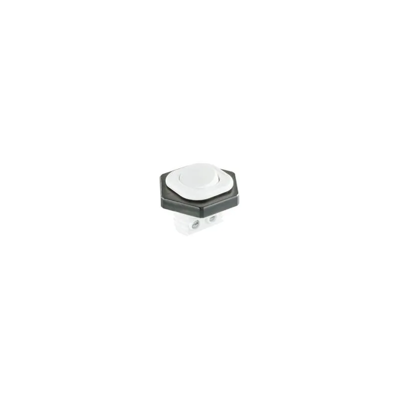 Bachmann Wippschalter 924.131 Ser 8014 Aussch 1polig ws/ws