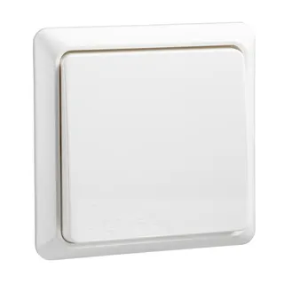 ELSO Universalschalter 501614 10A beleuchtet RENOVIERUNG rw