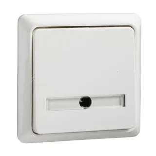 ELSO Taster 506224 42V/1A Aufputz RENOVIERUNG rw
