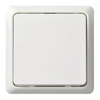 ELSO Taster 506204 42V/1A Aufputz RENOVIERUNG rw