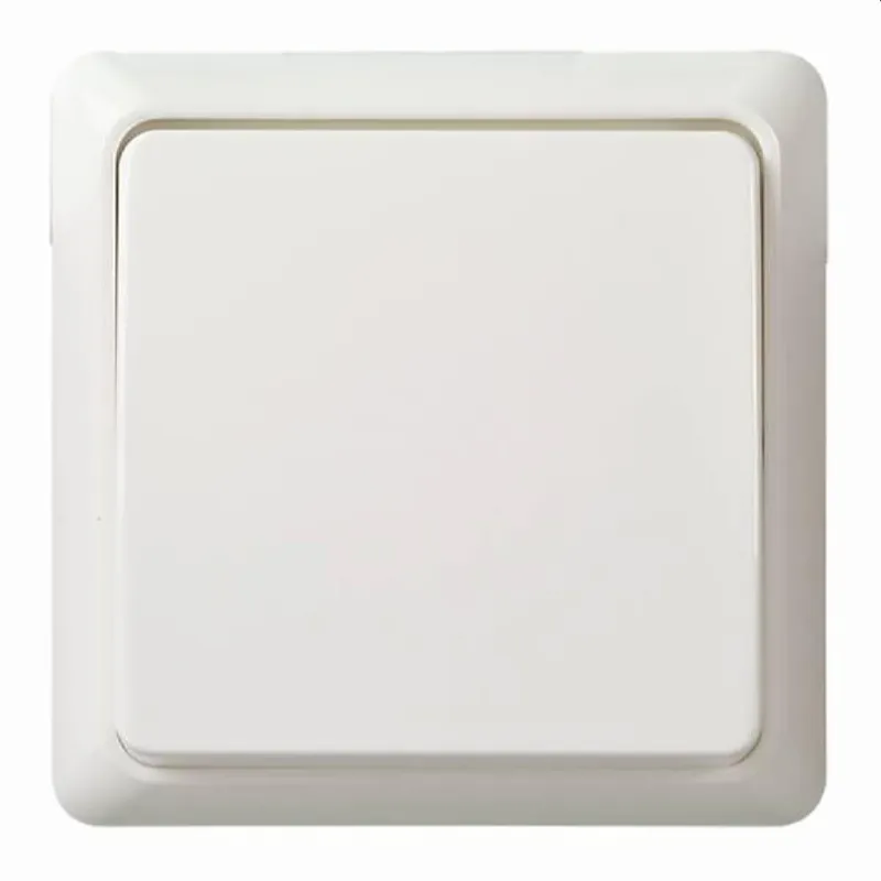 ELSO Taster 502104 10A komplett RENOVIERUNG rw
