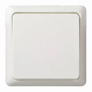 ELSO Taster 502104 10A komplett RENOVIERUNG rw