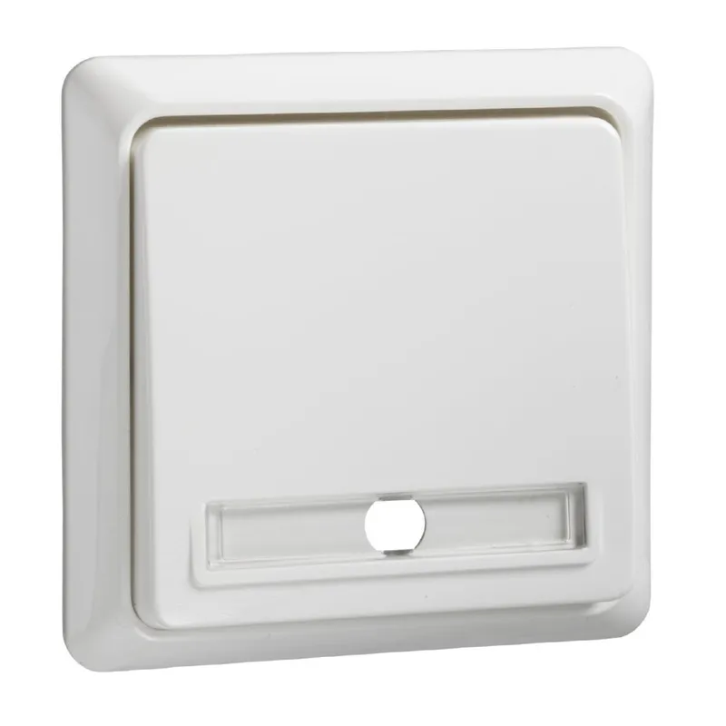 ELSO Taster 502144 10A beleuchtet RENOVIERUNG rw