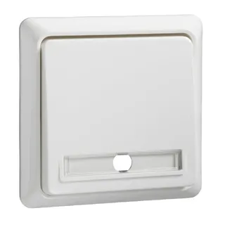 ELSO Taster 502144 10A beleuchtet RENOVIERUNG rw
