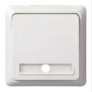 ELSO Taster 512134 10A komplett RENOVIERUNG rw