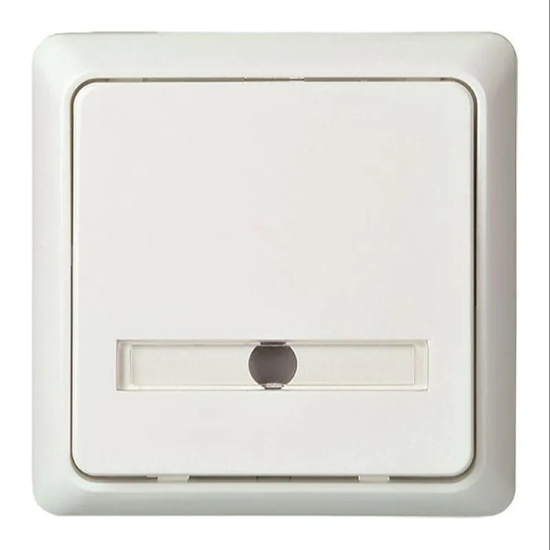 ELSO Taster 506134 42V/1A UP bel. RENOVIERUNG rw