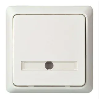 ELSO Taster 506134 42V/1A UP bel. RENOVIERUNG rw