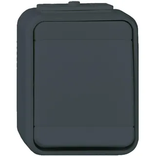 ELSO Taster 452109 10A AquaTop licht/basaltgrau