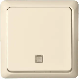 ELSO UP-Taster 242130 beleuchtet 10A RENOVIERUNG pw