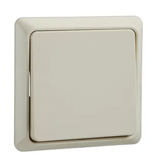 ELSO UP-Taster 242100 10A RENOVIERUNG komplett pw