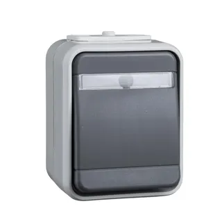 ELSO Universalschalter 441629 10A AquaTop licht/basaltgrau